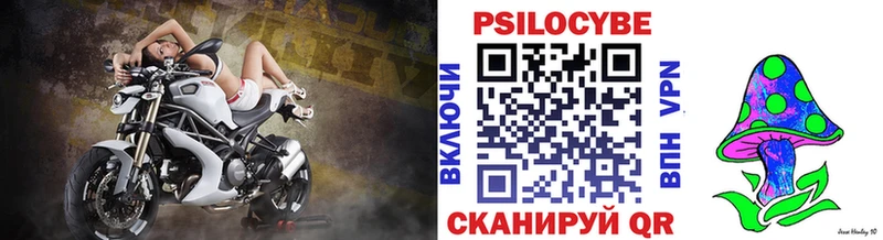 ОМГ ОМГ   Петровск  Галлюциногенные грибы ЛСД 