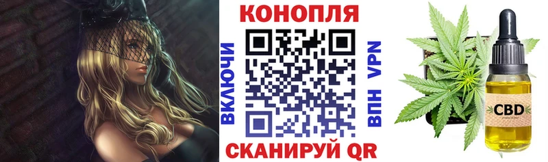 Бошки Шишки AK-47  где купить наркотик  Петровск 